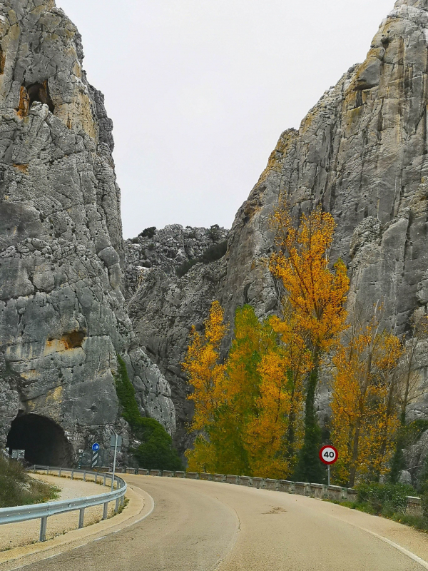 Route-Img-Alt