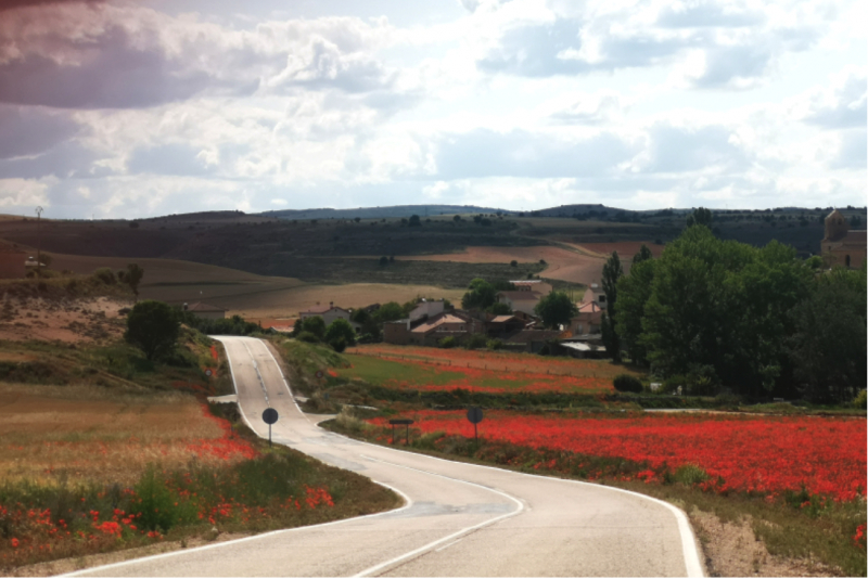 Route-Img-Alt